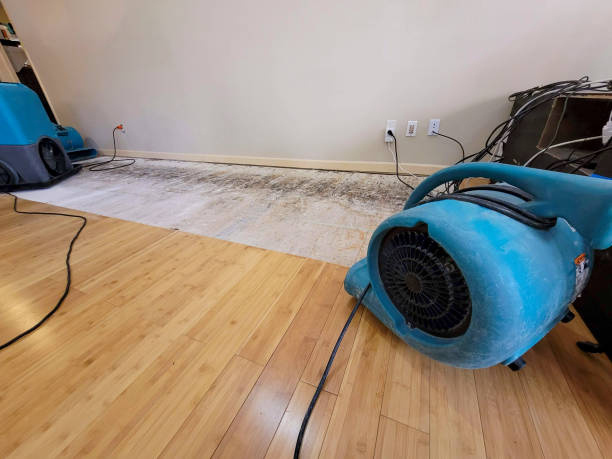 Professional Flood Damage Cleanup technician working in Calliham, TX